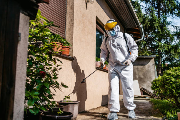 Wildlife Control Services in Langley, WA