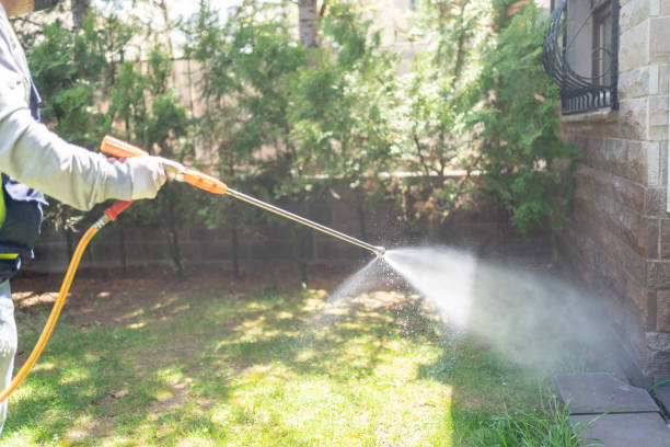 Professional Pest Control in Langley, WA