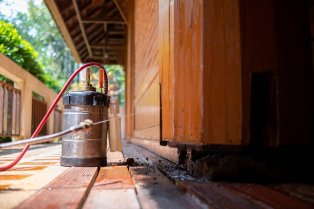 Best Cockroach Control Services  in Langley, WA