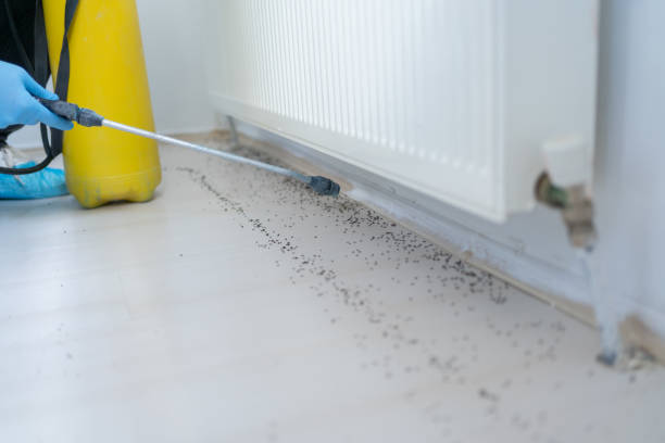 Best Mosquito Control Services  in Langley, WA