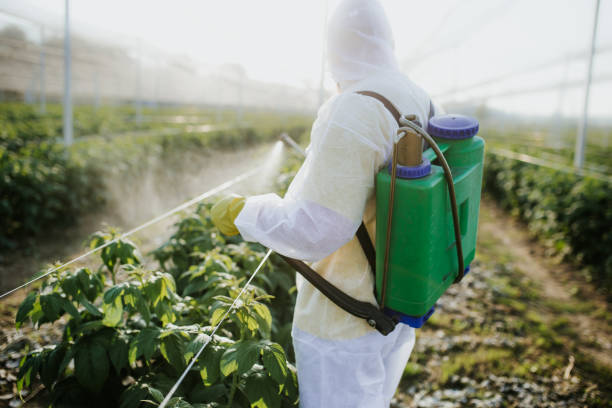 Best Pest Prevention Services  in Langley, WA